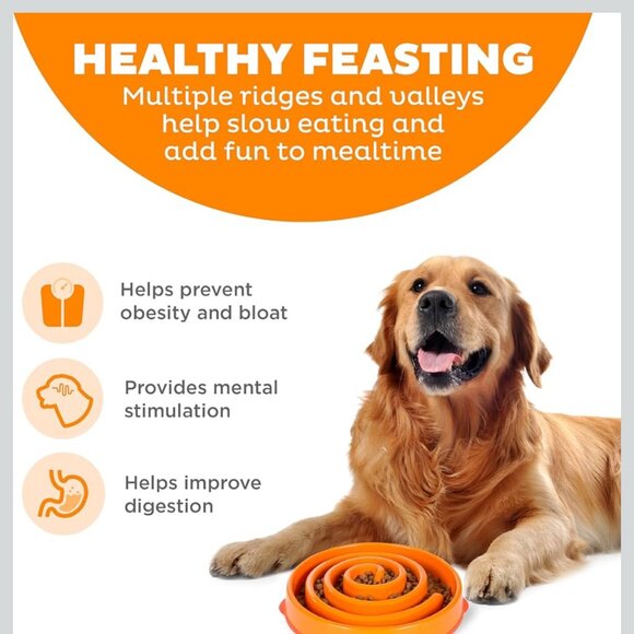 OUTWARD HOUND Fun Feeder Dog Bowl Interactive Slow Eating 10" x 2" - Picture 3 of 9